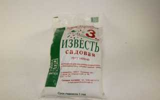 Известь для огорода: как использовать в садоводстве и в сельском хозяйстве