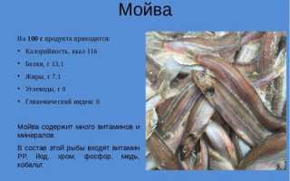 Полезные и лечебные свойства рыбы мойвы: выбор и правила хранения