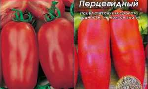 Экзотическая разновидность помидоров для настоящих гурманов – Перцевидные томаты для салатов и консервации